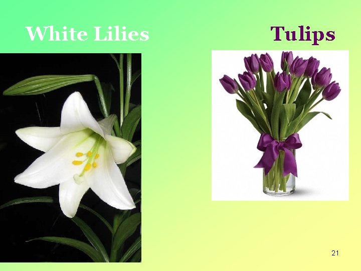 White Lilies Tulips 21 