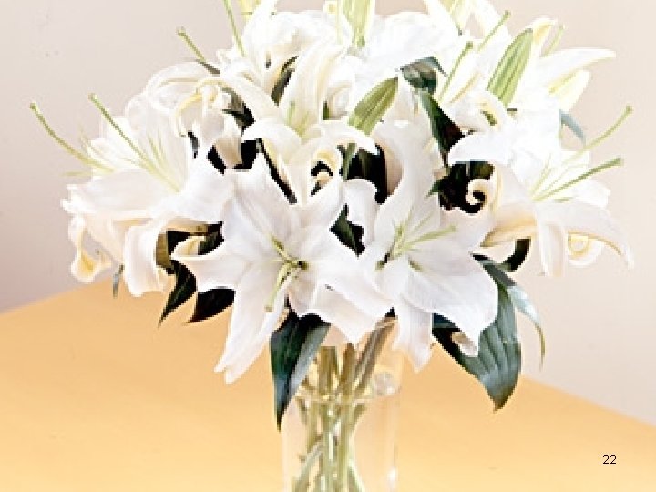 White Lilies Tulips 22 