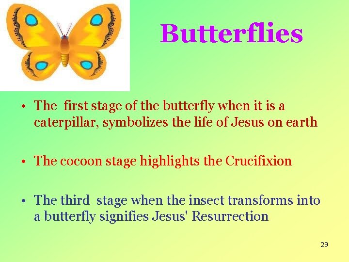 Butterflies • The first stage of the butterfly when it is a caterpillar, symbolizes
