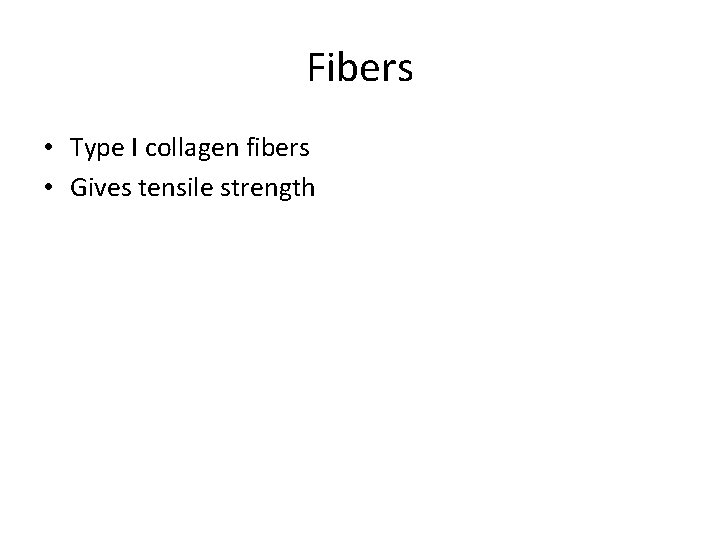 Fibers • Type I collagen fibers • Gives tensile strength Fibers • Type I collagen fibers • Gives tensile strength