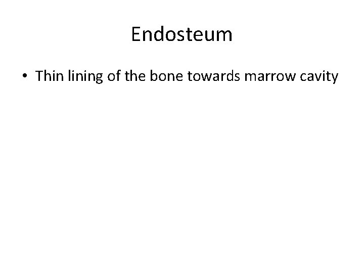 Endosteum • Thin lining of the bone towards marrow cavity Endosteum • Thin lining of the bone towards marrow cavity