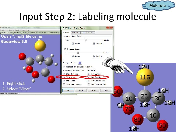 Molecule Input Step 2: Labeling molecule Open *. mol 2 file using Gaussview 5.