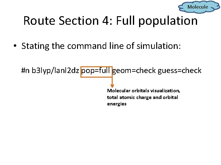 Molecule Route Section 4: Full population • Stating the command line of simulation: #n