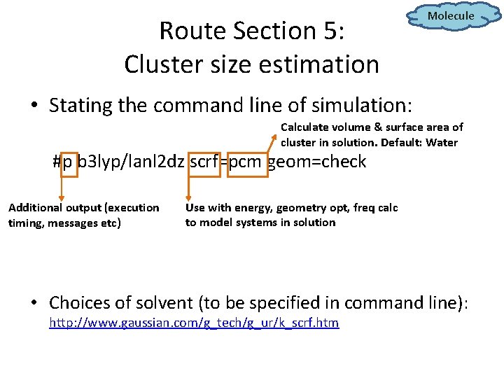 Route Section 5: Cluster size estimation Molecule • Stating the command line of simulation: