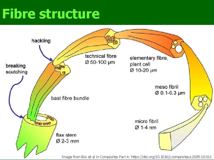 Fibre structure Image from Bos et al in Composites Part A: https: //doi. org/10.