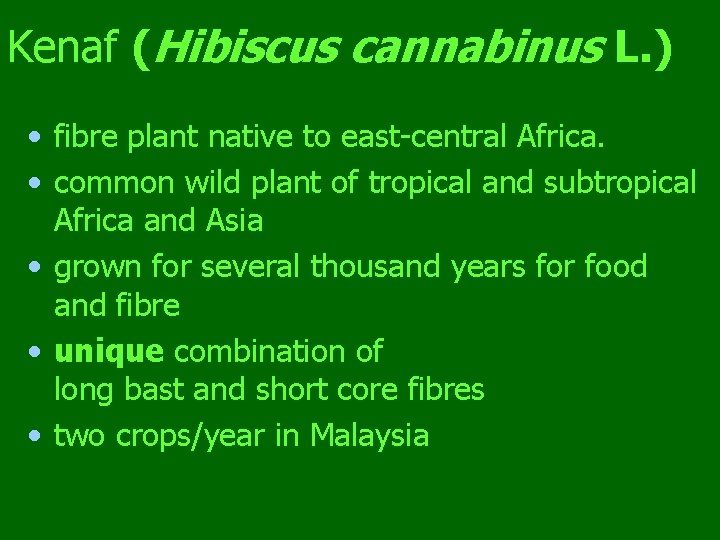 Kenaf (Hibiscus cannabinus L. ) • fibre plant native to east-central Africa. • common