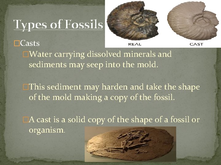 Types of Fossils �Casts �Water carrying dissolved minerals and sediments may seep into the