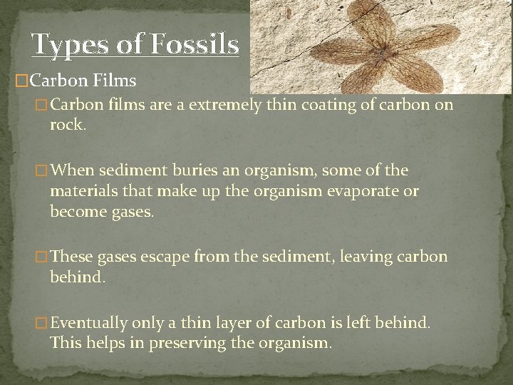 Types of Fossils �Carbon Films � Carbon films are a extremely thin coating of