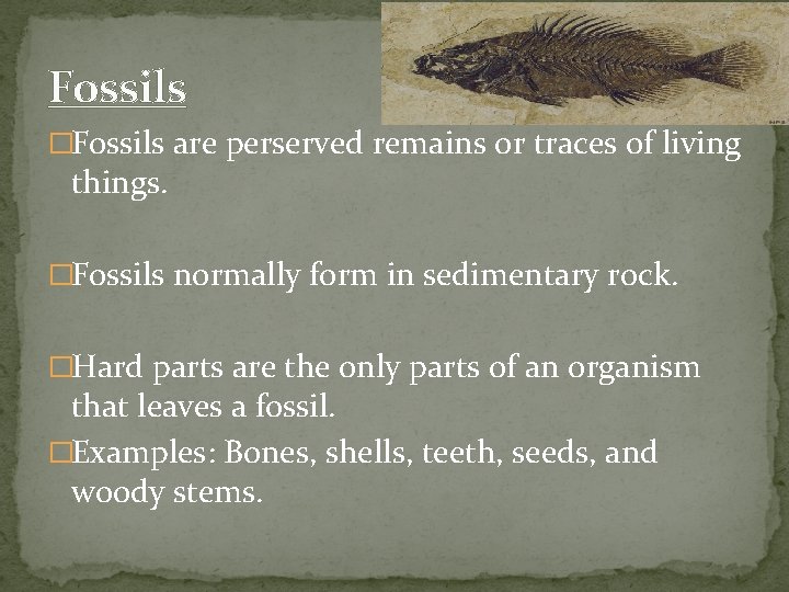 Fossils �Fossils are perserved remains or traces of living things. �Fossils normally form in
