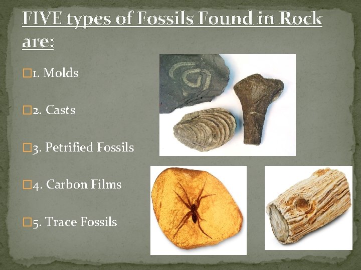 FIVE types of Fossils Found in Rock are: � 1. Molds � 2. Casts