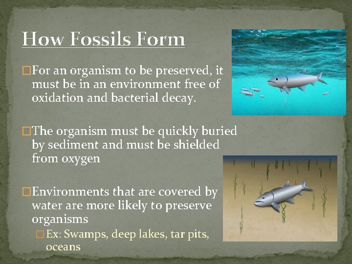How Fossils Form �For an organism to be preserved, it must be in an