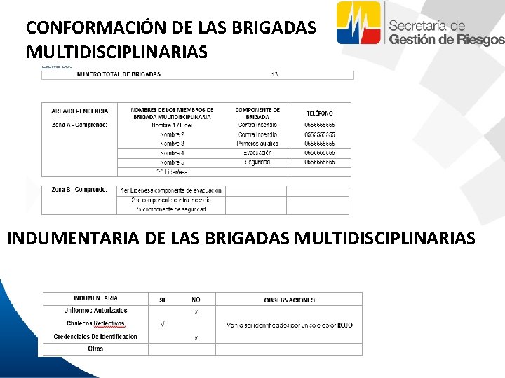 CONFORMACIÓN DE LAS BRIGADAS MULTIDISCIPLINARIAS INDUMENTARIA DE LAS BRIGADAS MULTIDISCIPLINARIAS 