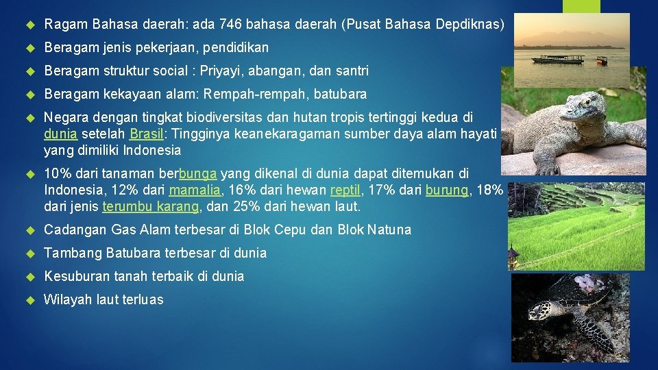  Ragam Bahasa daerah: ada 746 bahasa daerah (Pusat Bahasa Depdiknas) Beragam jenis pekerjaan,