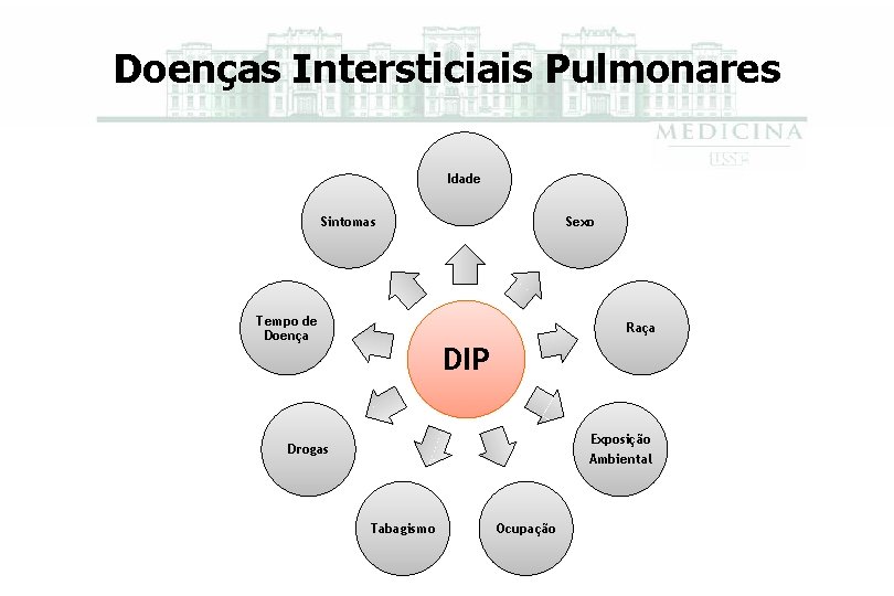 Doenças Intersticiais Pulmonares Idade Sintomas Tempo de Doença Sexo Raça DIP Exposição Ambiental Drogas