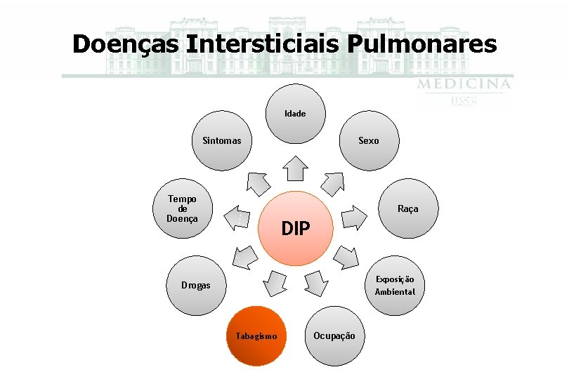 Doenças Intersticiais Pulmonares Idade Sintomas Tempo de Doença Sexo Raça DIP Exposição Ambiental Drogas