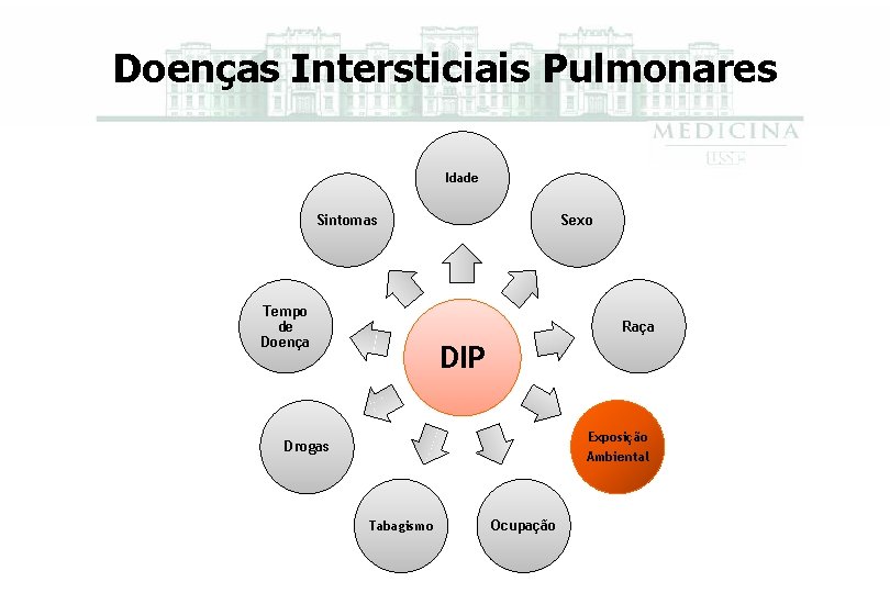 Doenças Intersticiais Pulmonares Idade Sintomas Tempo de Doença Sexo Raça DIP Exposição Ambiental Drogas