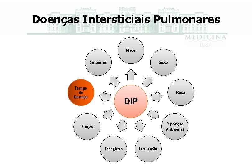 Doenças Intersticiais Pulmonares Idade Sintomas Tempo de Doença Sexo Raça DIP Exposição Ambiental Drogas