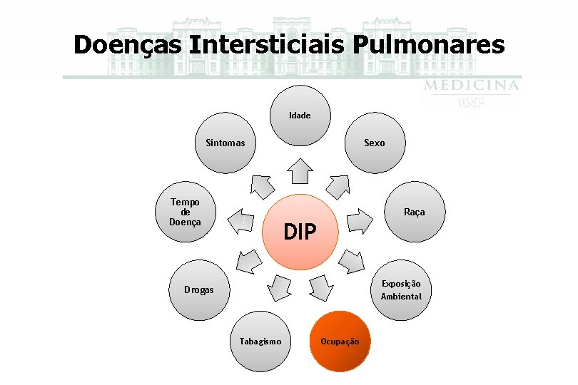 Doenças Intersticiais Pulmonares Idade Sintomas Tempo de Doença Sexo Raça DIP Exposição Ambiental Drogas