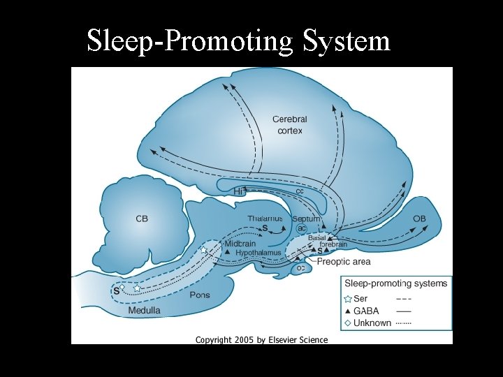 Sleep-Promoting System 