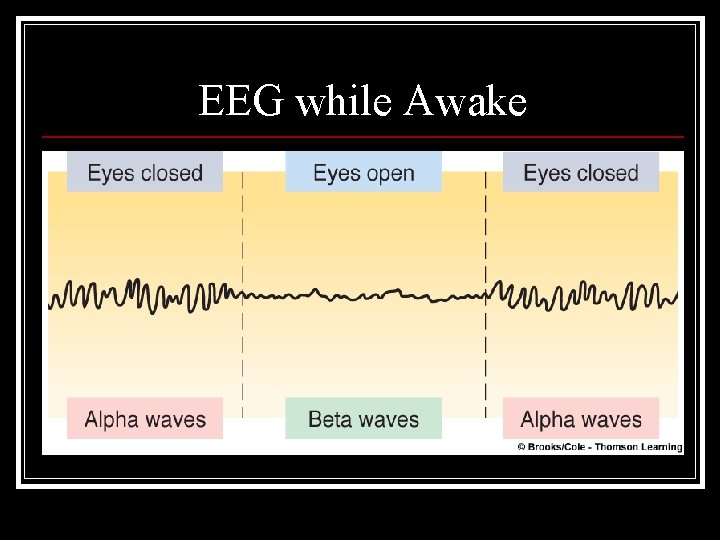EEG while Awake 