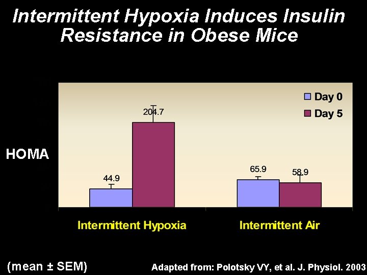 Intermittent Hypoxia Induces Insulin Resistance in Obese Mice HOMA (mean ± SEM) Adapted from: