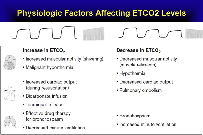 Physiologic Factors Affecting ETCO 2 Levels 