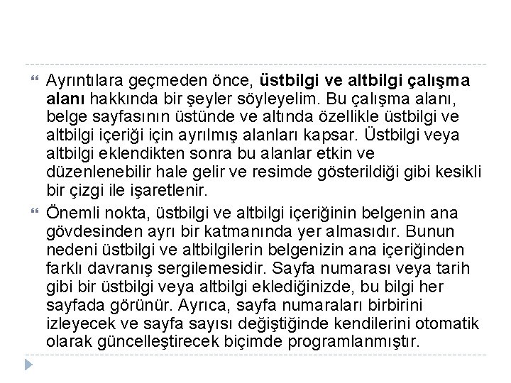  Ayrıntılara geçmeden önce, üstbilgi ve altbilgi çalışma alanı hakkında bir şeyler söyleyelim. Bu