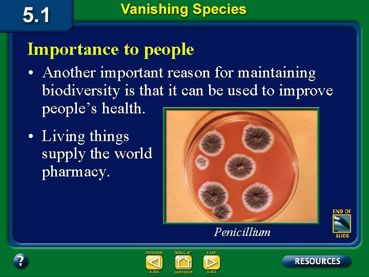 Importance to people • Another important reason for maintaining biodiversity is that it can
