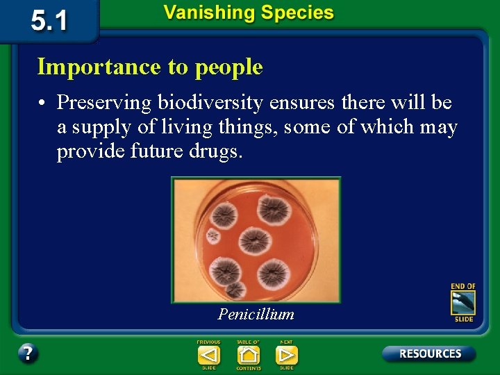 Importance to people • Preserving biodiversity ensures there will be a supply of living