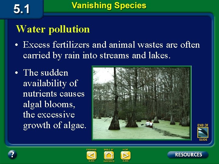 Water pollution • Excess fertilizers and animal wastes are often carried by rain into