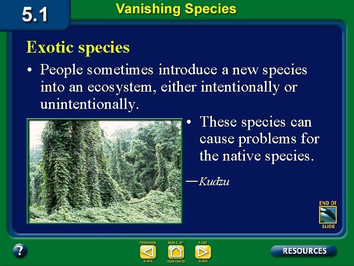 Exotic species • People sometimes introduce a new species into an ecosystem, either intentionally