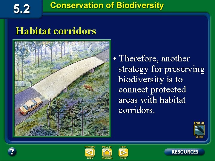 Habitat corridors • Therefore, another strategy for preserving biodiversity is to connect protected areas