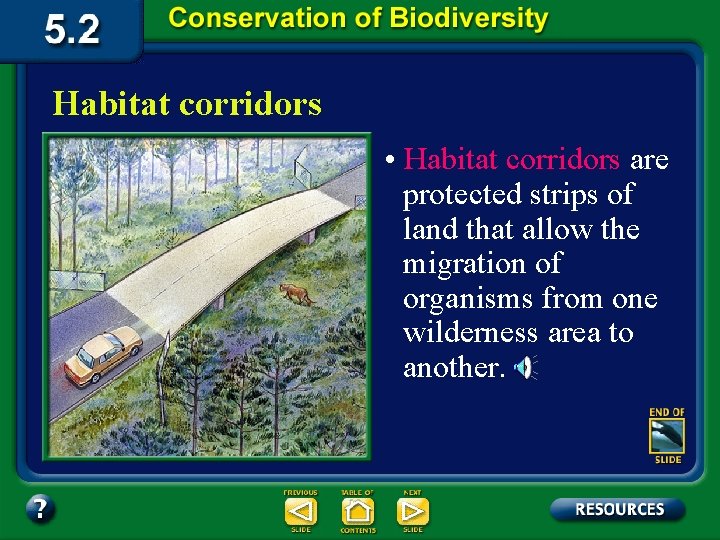 Habitat corridors • Habitat corridors are protected strips of land that allow the migration