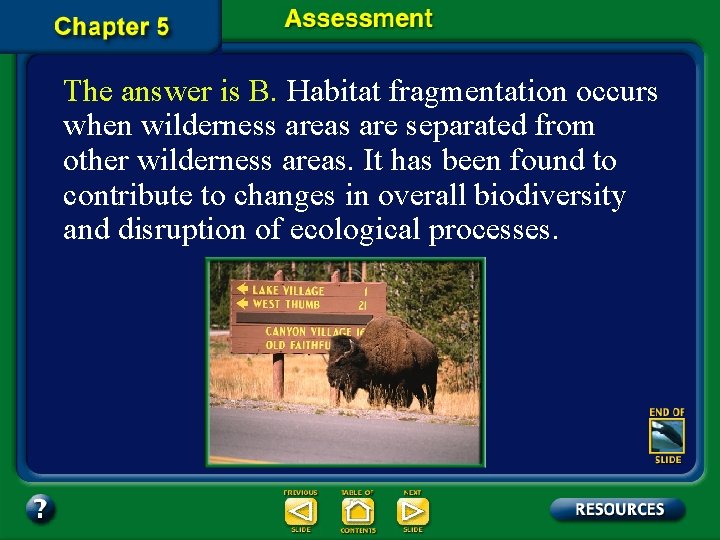 The answer is B. Habitat fragmentation occurs when wilderness areas are separated from other