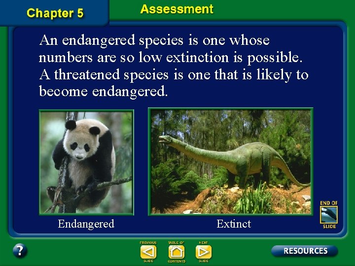 An endangered species is one whose numbers are so low extinction is possible. A