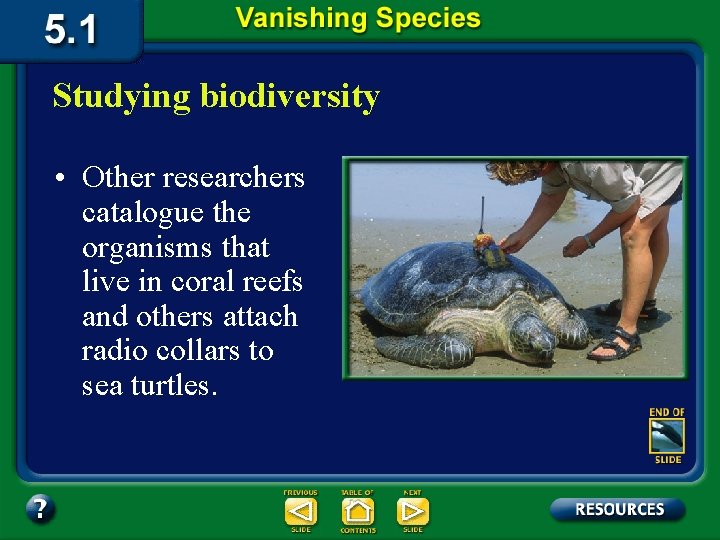 Studying biodiversity • Other researchers catalogue the organisms that live in coral reefs and