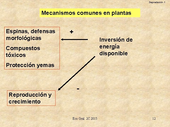 Depredación 1 Mecanismos comunes en plantas Espinas, defensas morfológicas + Inversión de energía disponible