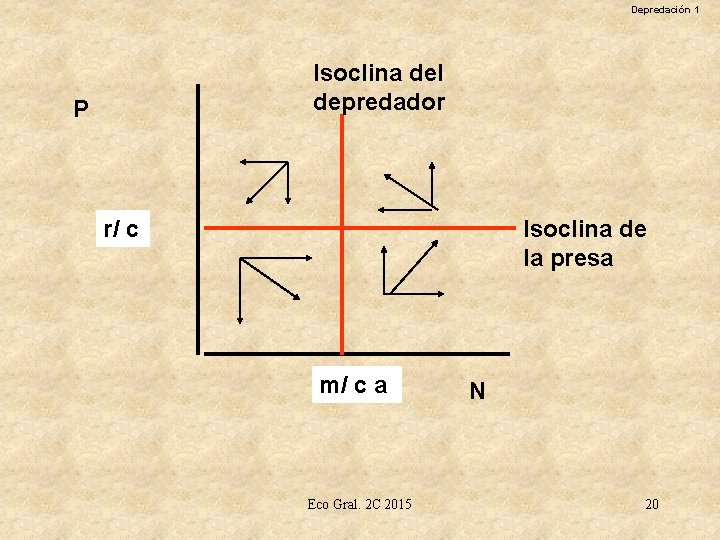 Depredación 1 Isoclina del depredador P r/ c Isoclina de la presa m/ c