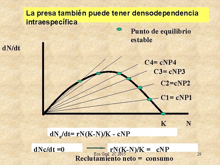 La presa también puede tener densodependencia intraespecífica Punto de equilibrio estable d. N/dt C