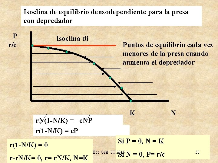 Isoclina de equilibrio densodependiente para la presa con depredador P r/c Isoclina di Puntos