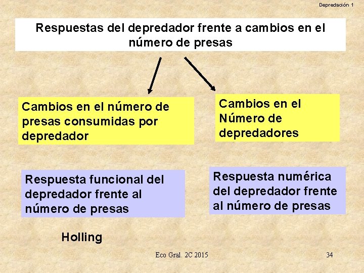 Depredación 1 Respuestas del depredador frente a cambios en el número de presas Cambios