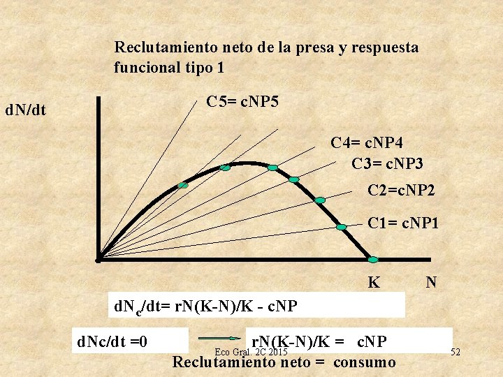 Reclutamiento neto de la presa y respuesta funcional tipo 1 C 5= c. NP