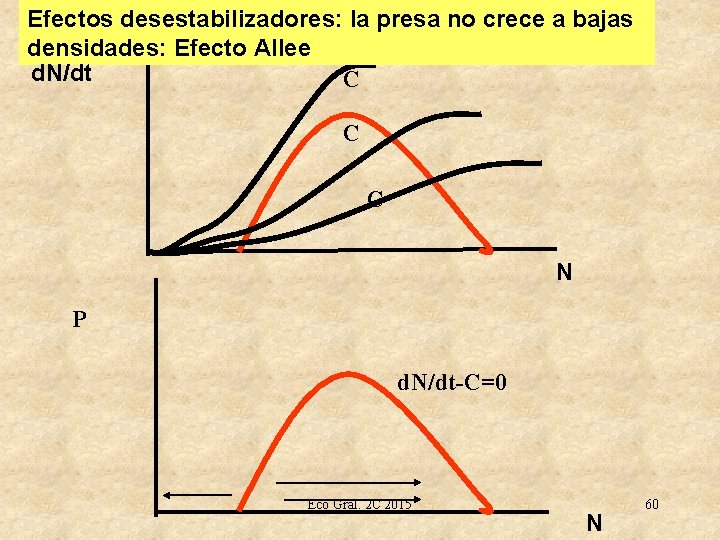 Efectos desestabilizadores: la presa no crece a bajas densidades: Efecto Allee d. N/dt C