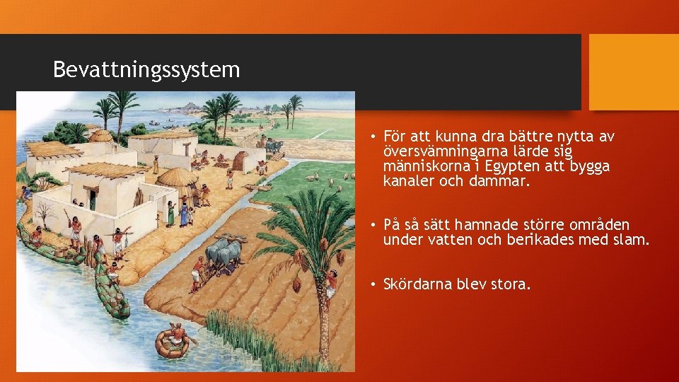 Bevattningssystem • För att kunna dra bättre nytta av översvämningarna lärde sig människorna i