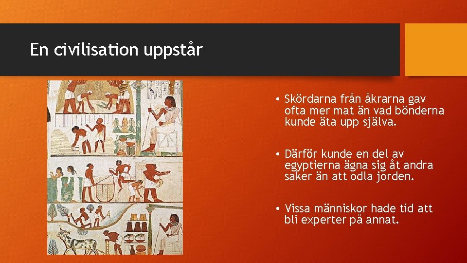 En civilisation uppstår • Skördarna från åkrarna gav ofta mer mat än vad bönderna