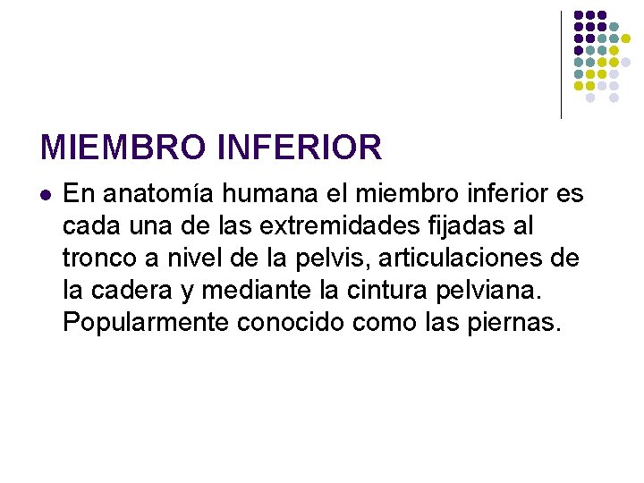 MIEMBRO INFERIOR l En anatomía humana el miembro inferior es cada una de las