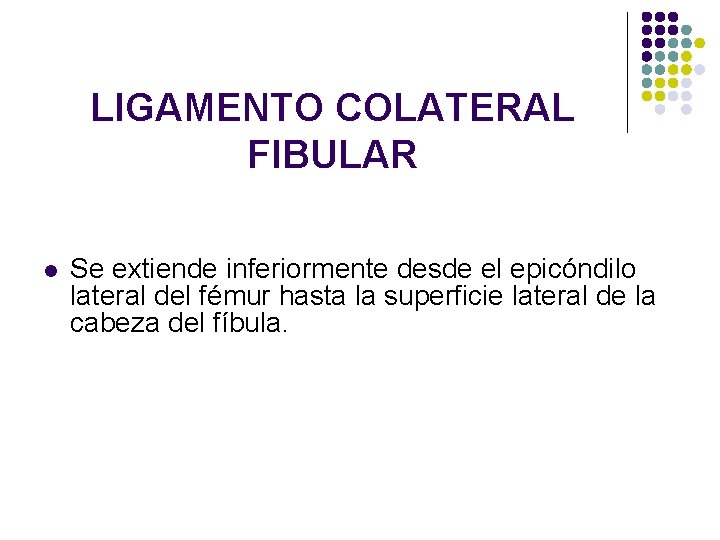 LIGAMENTO COLATERAL FIBULAR l Se extiende inferiormente desde el epicóndilo lateral del fémur hasta