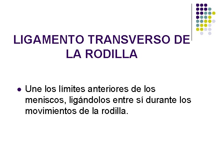 LIGAMENTO TRANSVERSO DE LA RODILLA l Une los límites anteriores de los meniscos, ligándolos