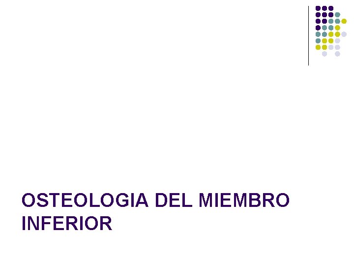 OSTEOLOGIA DEL MIEMBRO INFERIOR 