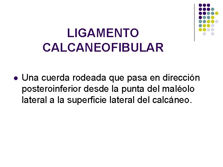 LIGAMENTO CALCANEOFIBULAR l Una cuerda rodeada que pasa en dirección posteroinferior desde la punta